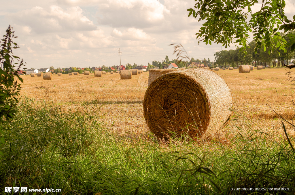 草垛麦草垛稻草垛图片