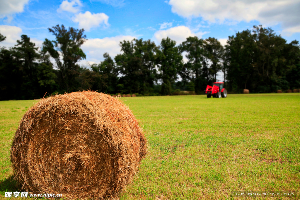 草垛麦草垛稻草垛图片