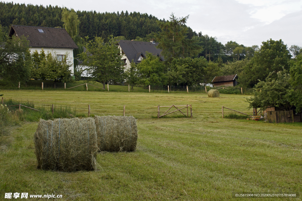 草垛麦草垛稻草垛图片