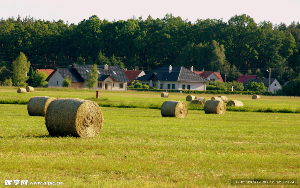 草垛麦草垛稻草垛图片