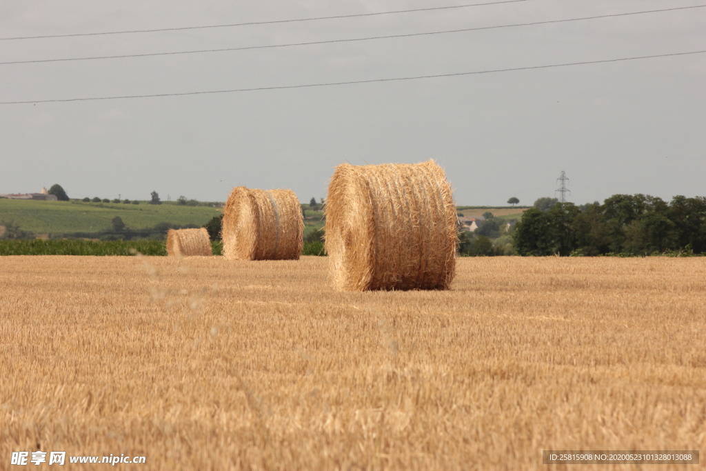 草垛麦草垛稻草垛图片