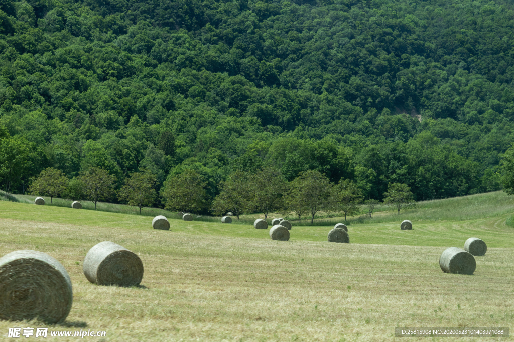 草垛麦草垛稻草垛图片