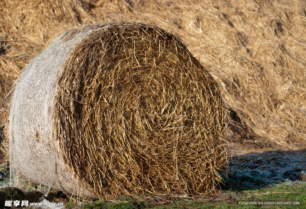 草垛麦草垛稻草垛图片