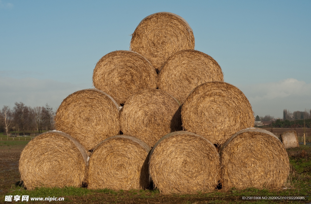 草垛麦草垛稻草垛图片
