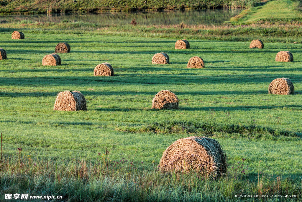 草垛麦草垛稻草垛图片