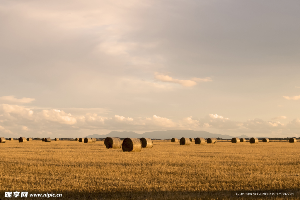 草垛麦草垛稻草垛图片