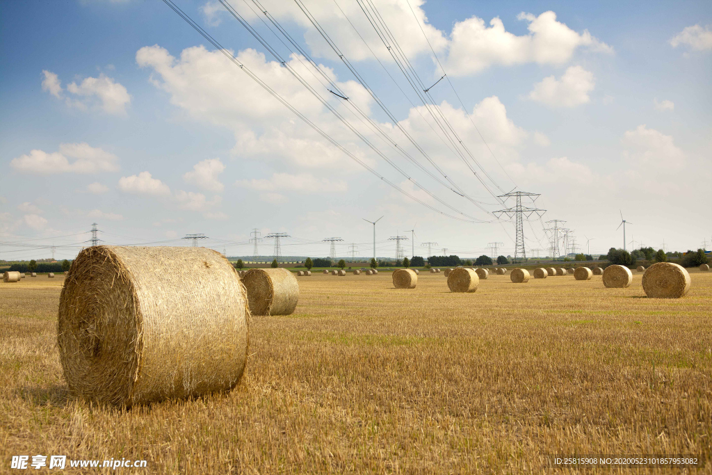 草垛麦草垛稻草垛图片