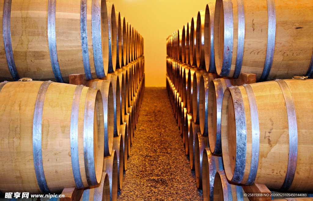 酒桶红酒桶图片