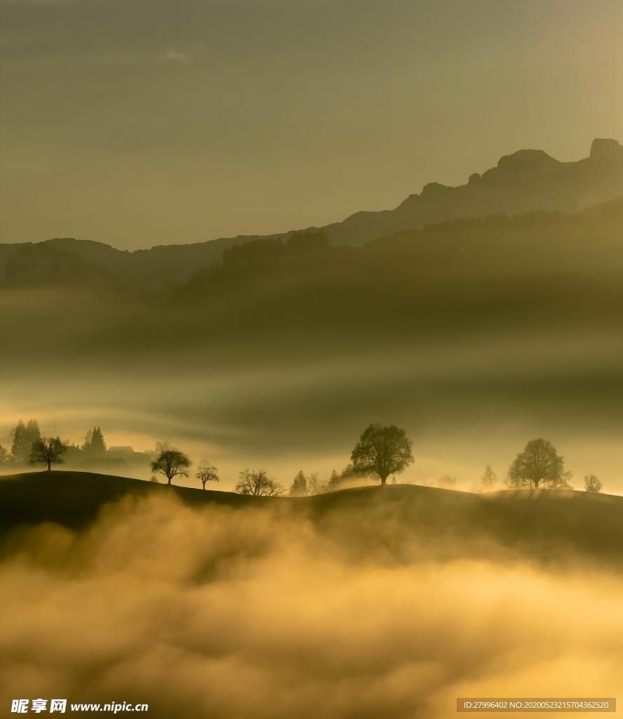 山水 森林 天空