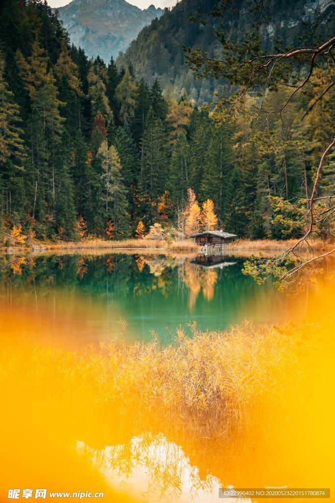 山水 森林 天空