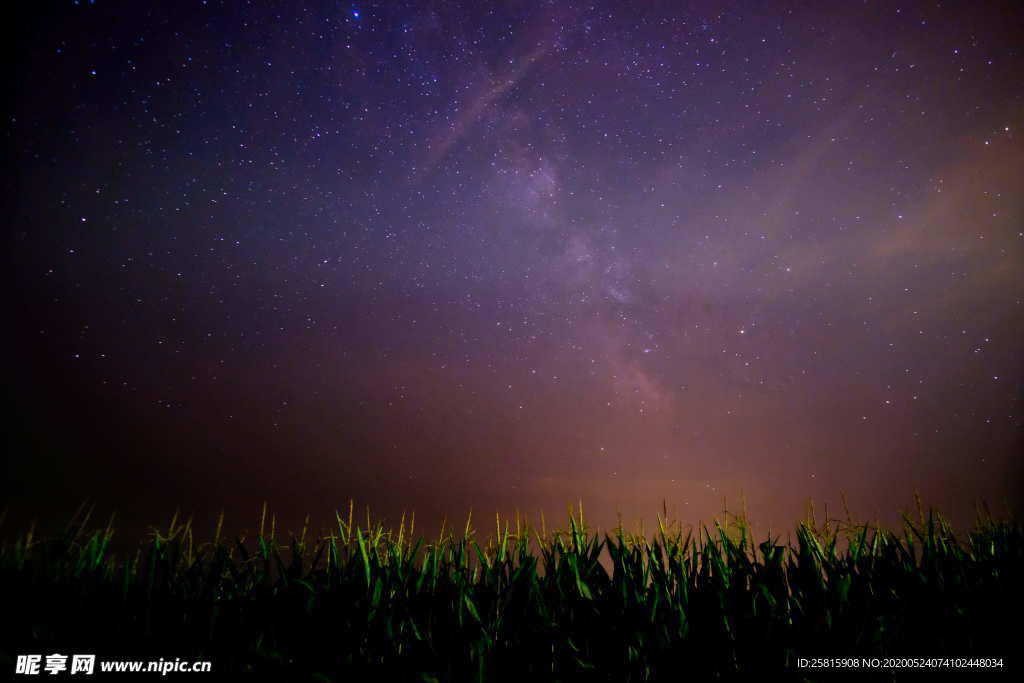 玉米地田园图片