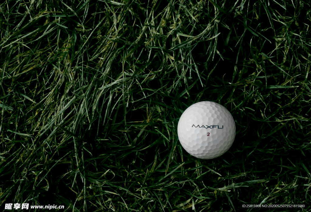 高尔夫球休闲图片