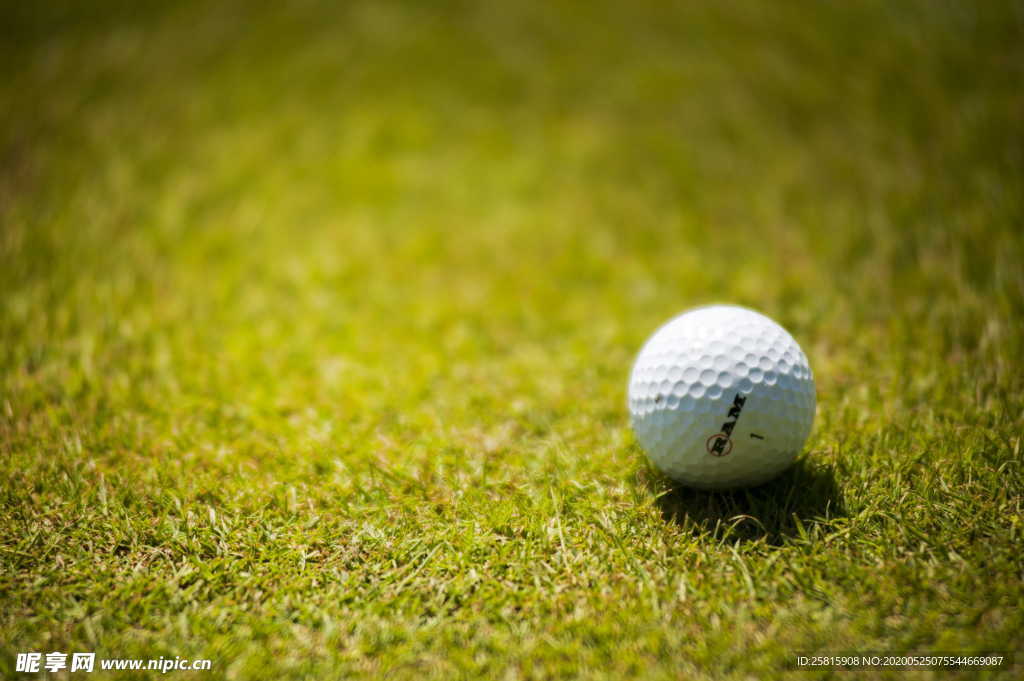 高尔夫球休闲图片