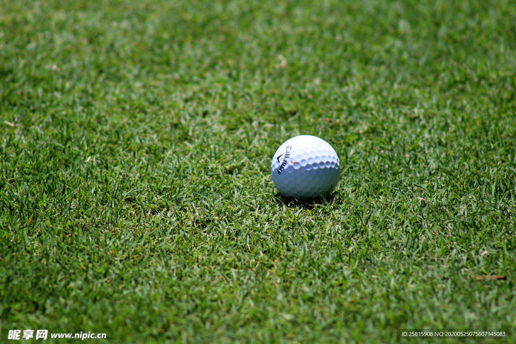 高尔夫球休闲图片