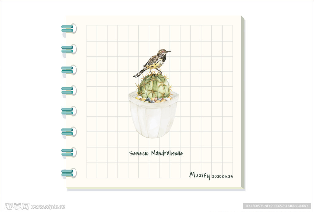 仙人球 植物图鉴