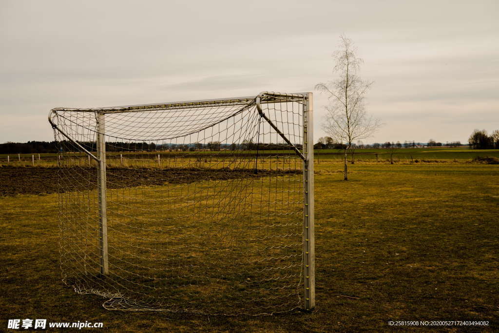 足球场绿荫图片