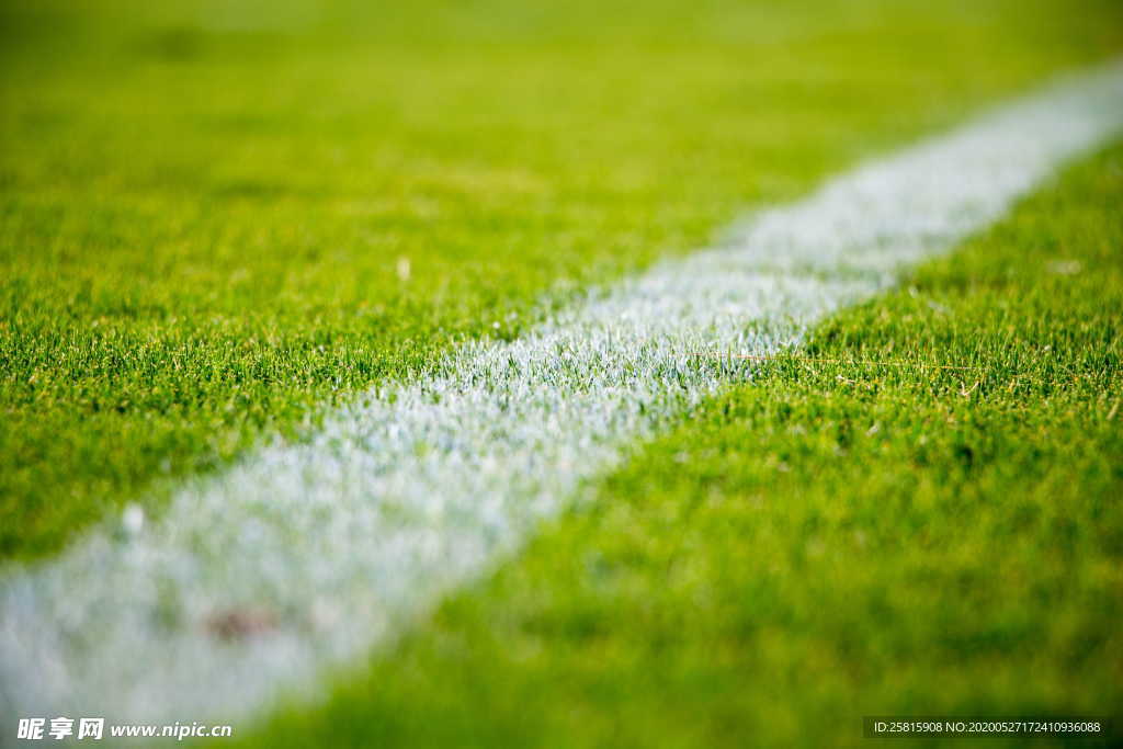 足球场绿荫图片