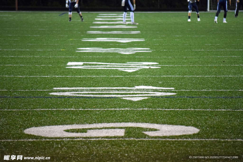足球场绿荫图片