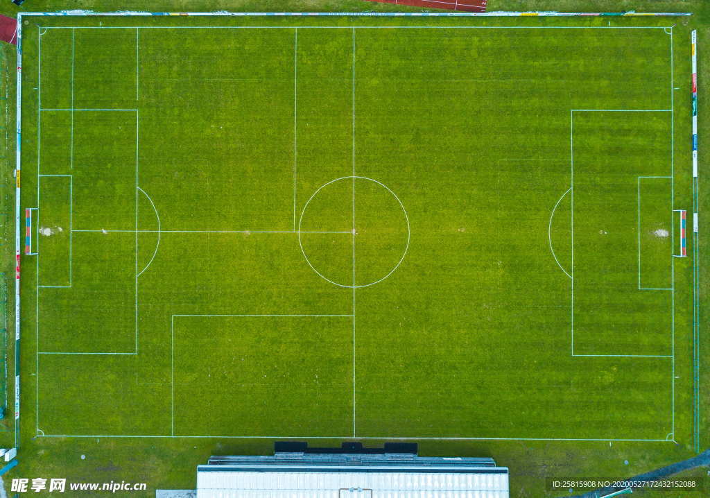 足球场绿荫图片