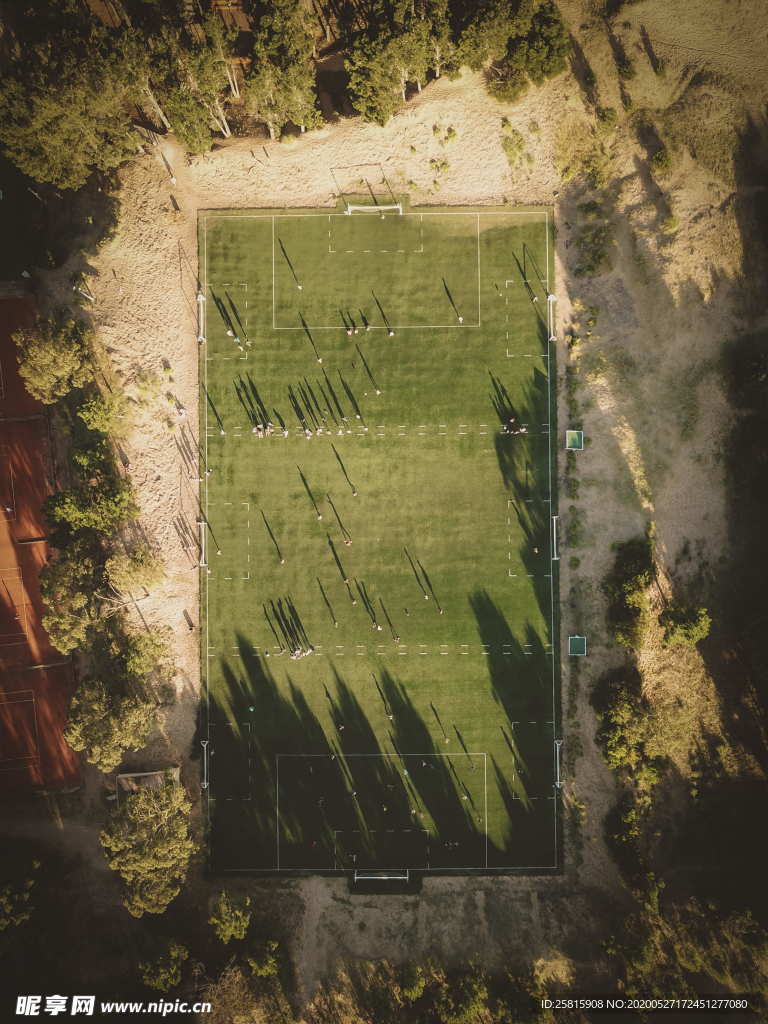 足球场绿荫图片