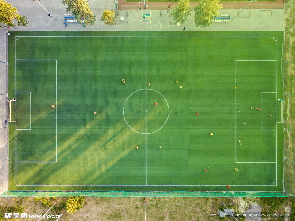 足球场绿荫图片
