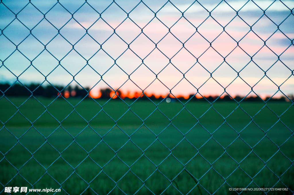 足球场绿荫图片