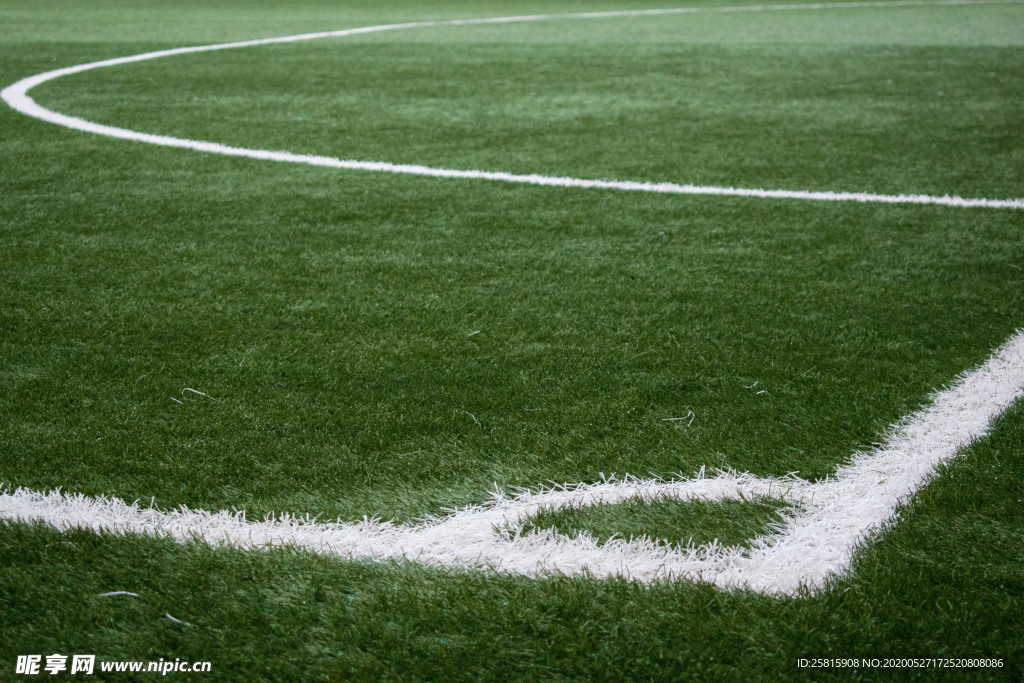 足球场绿荫图片