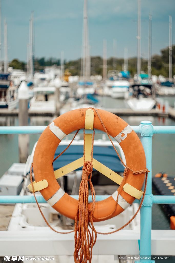 救生圈游泳圈图片