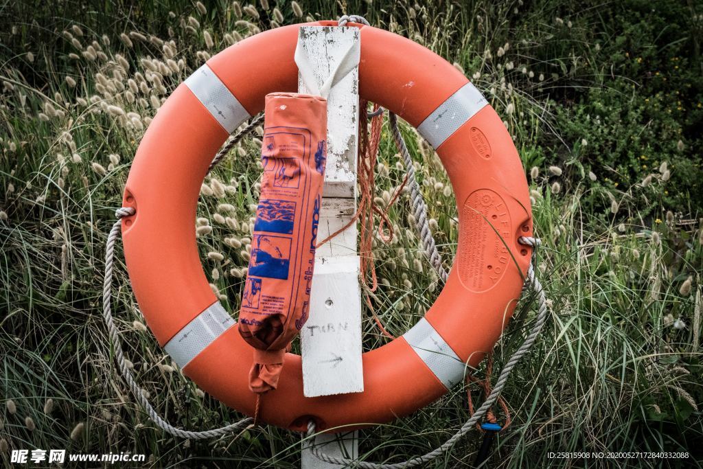 救生圈游泳圈图片