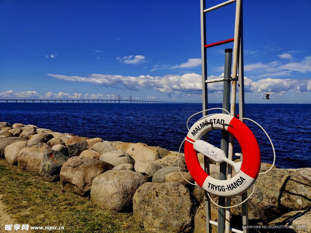 救生圈游泳圈图片