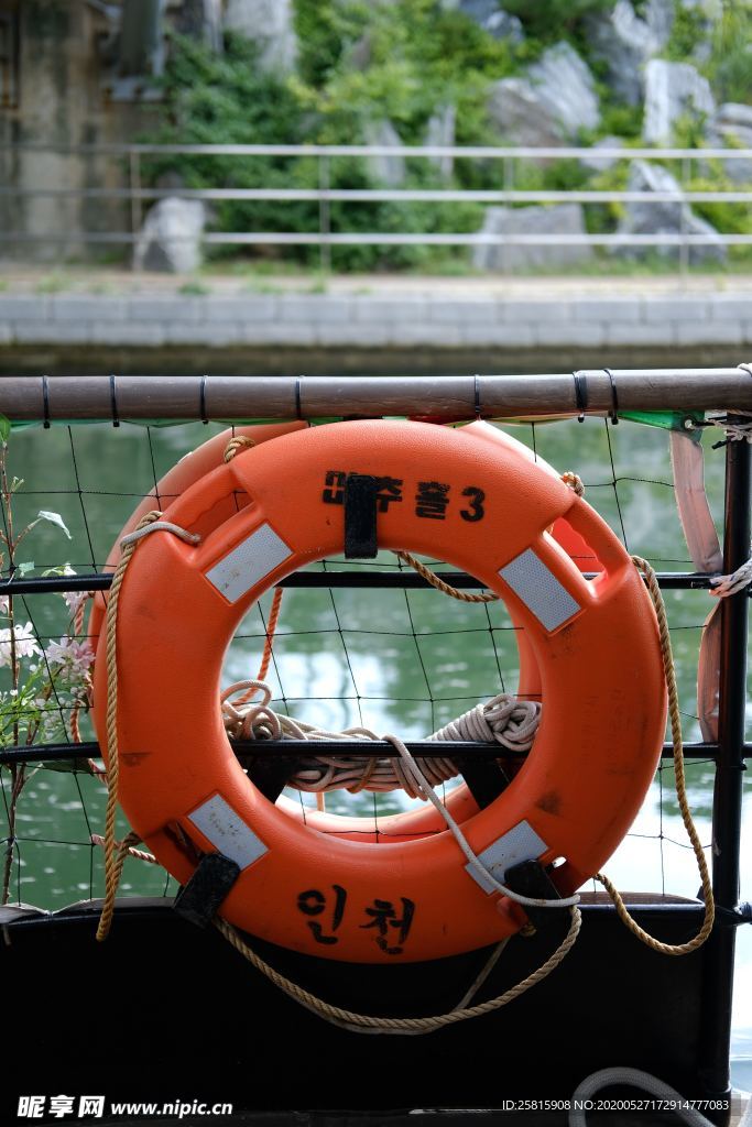 救生圈游泳圈图片