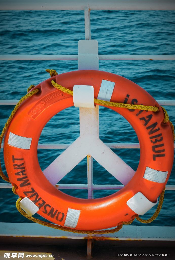 救生圈游泳圈图片