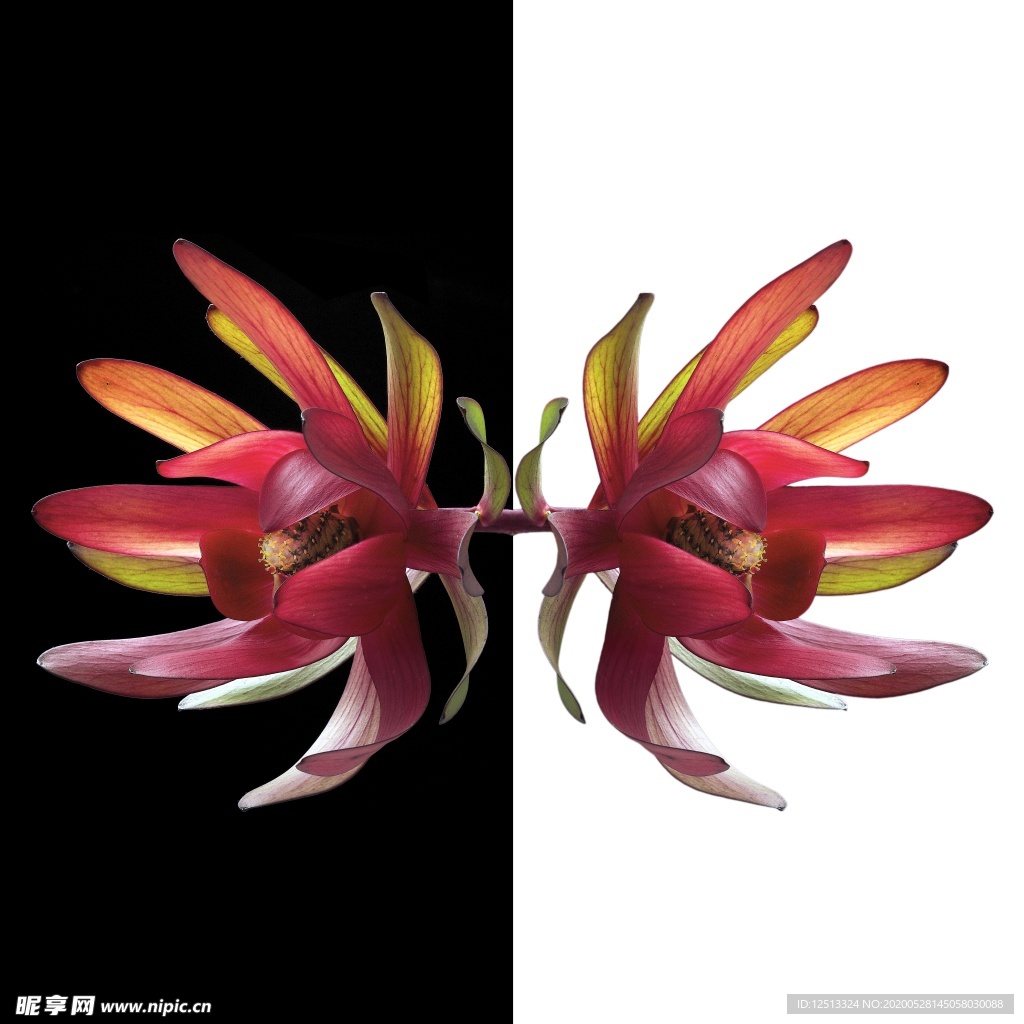 花