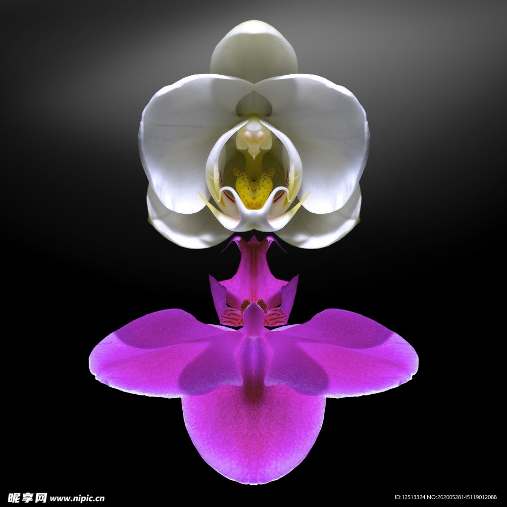 花