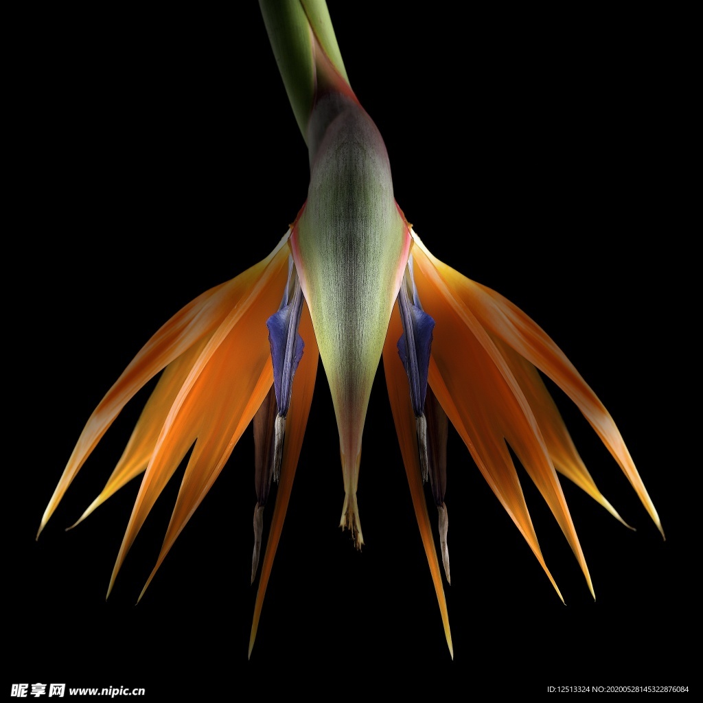 花