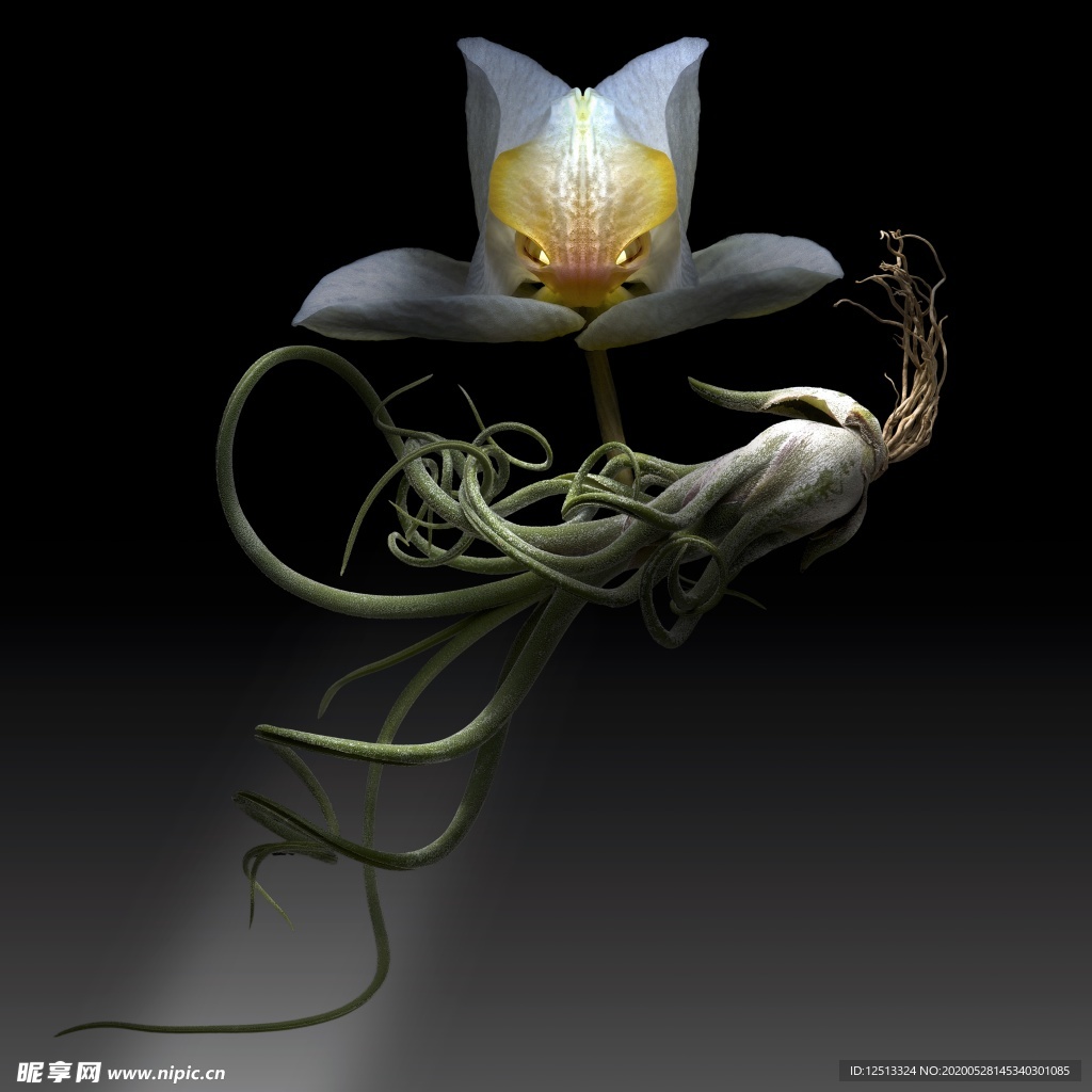 花