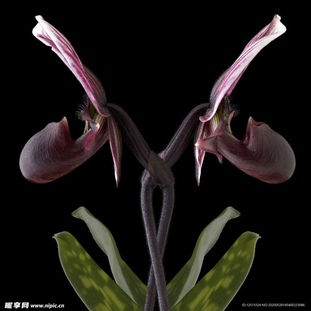 花