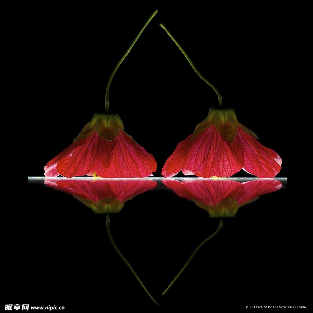 花