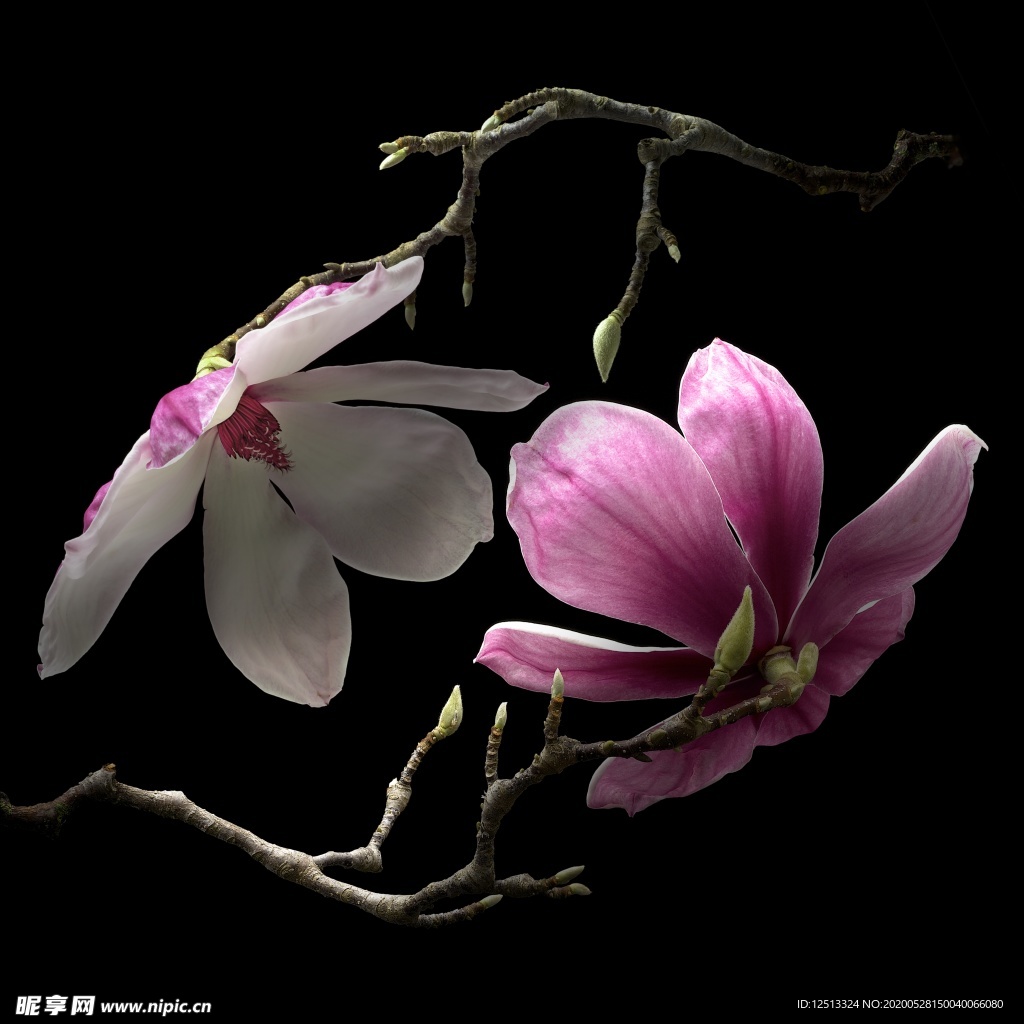 花