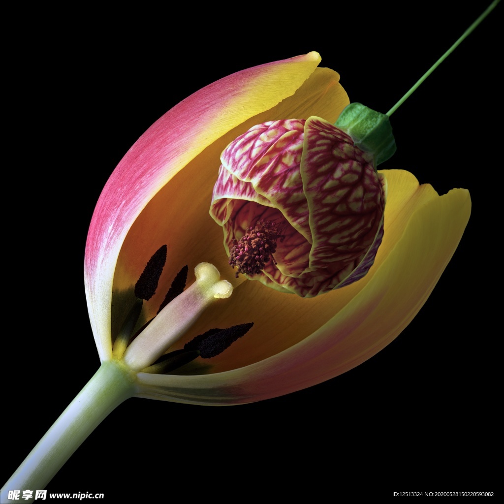 花