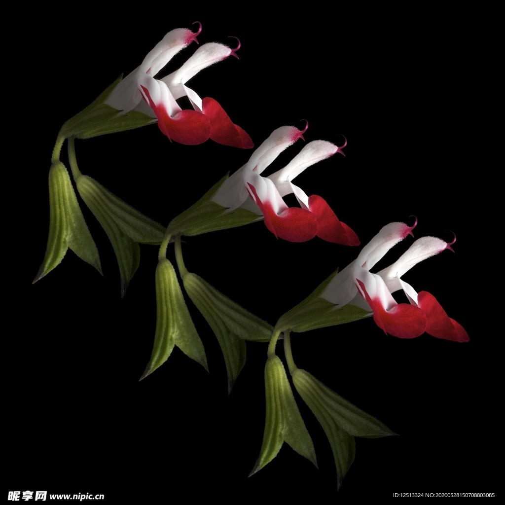 花