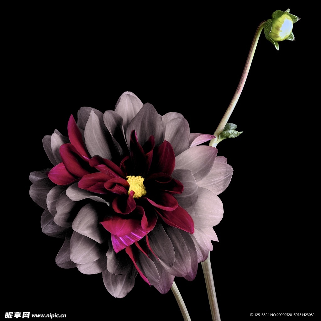花