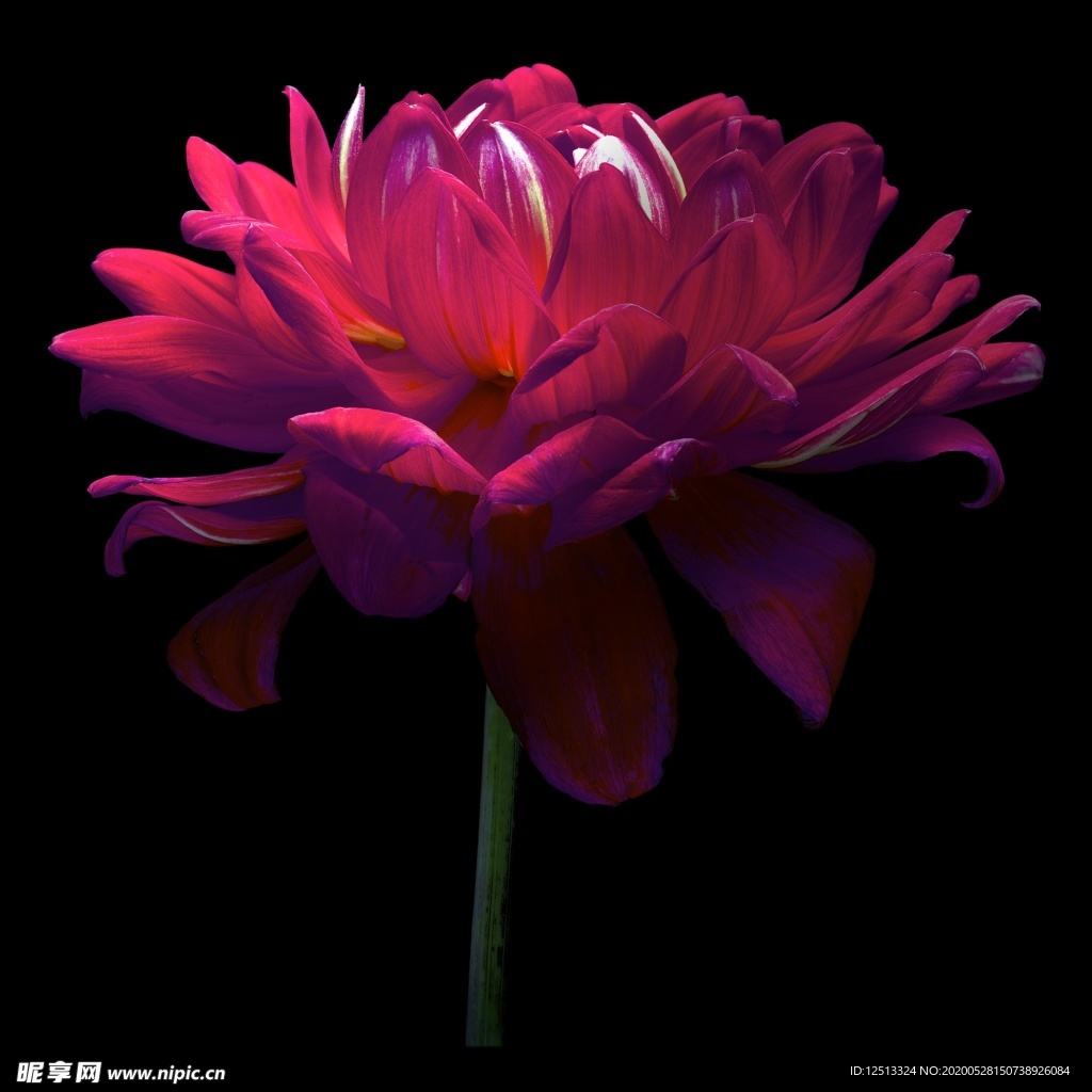花