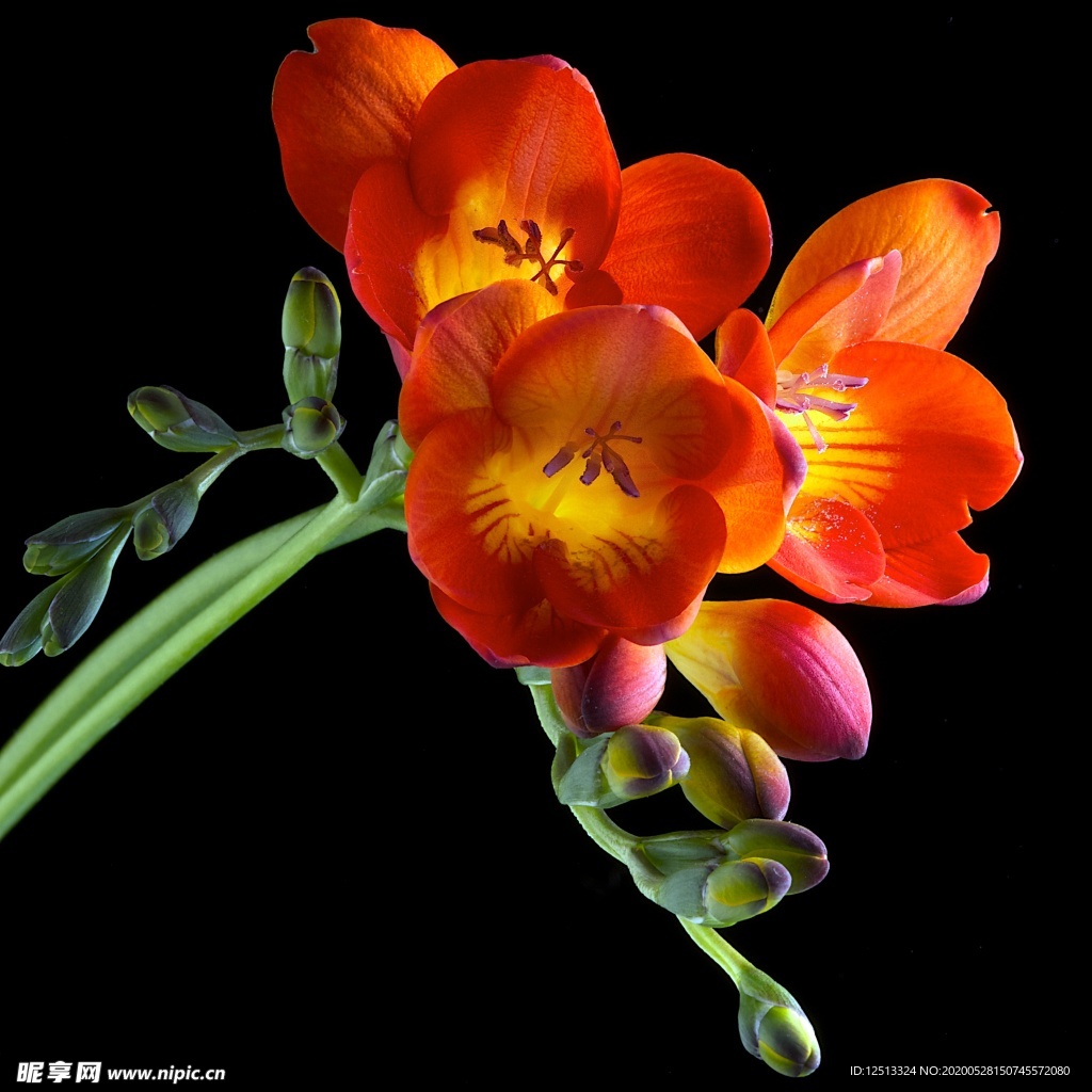 花