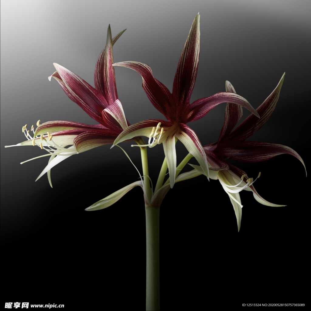 花