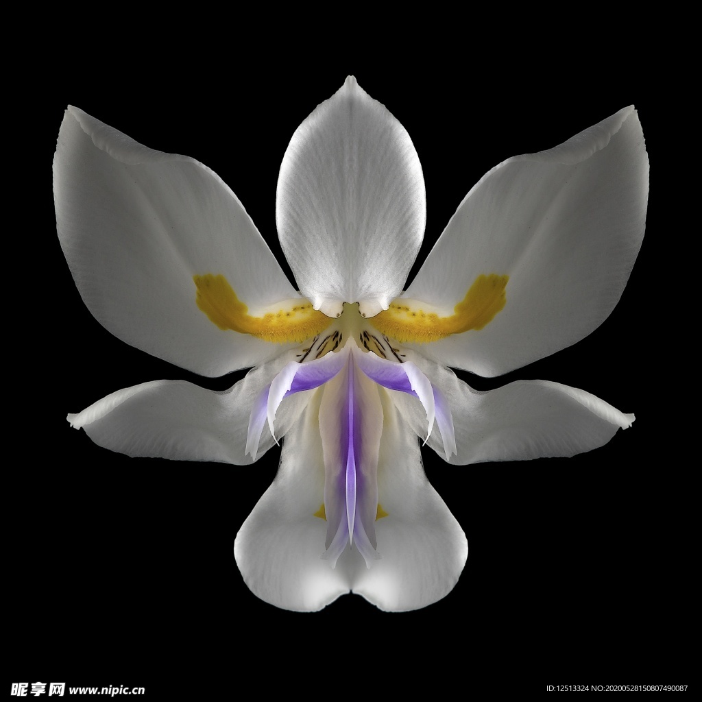 花