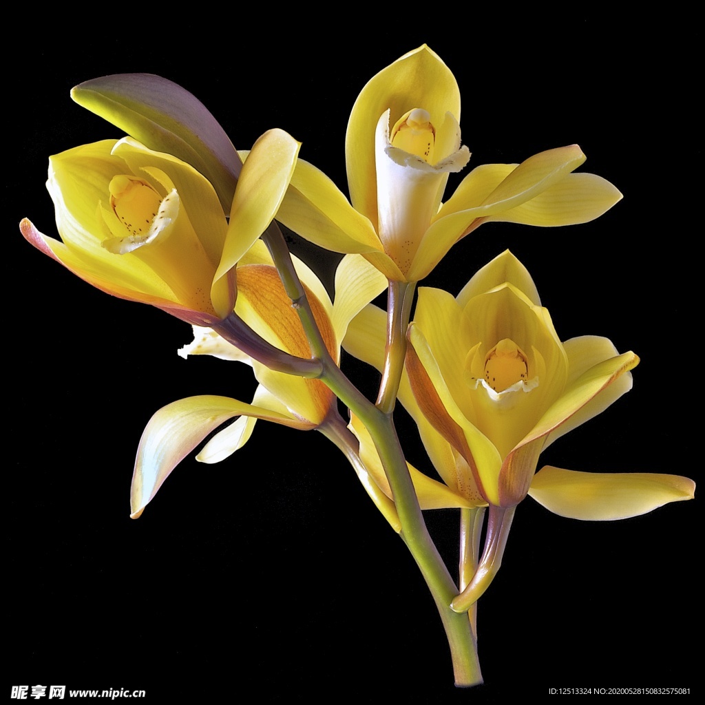 花