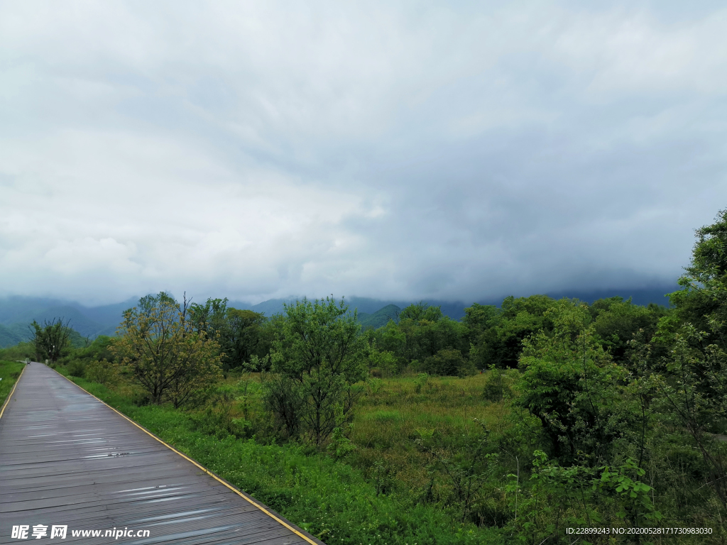 大九湖湿地公园