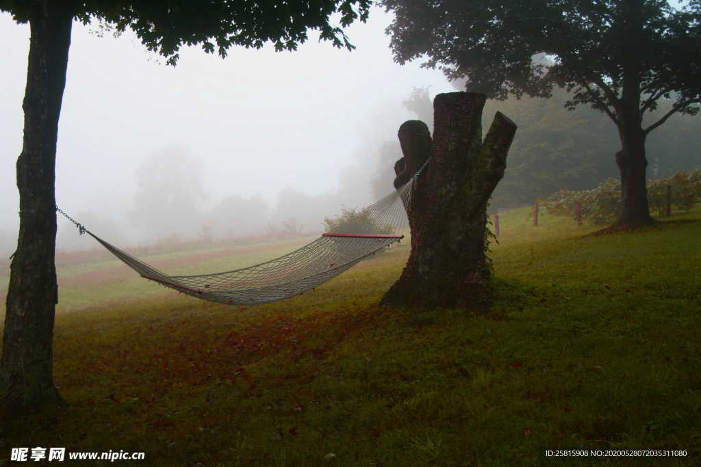 吊床吊篮图片