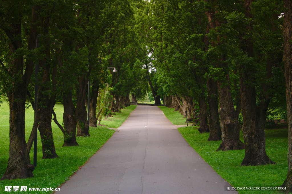 公路山路小径小道图片